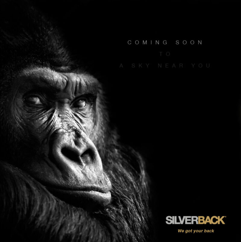 Silverback - We got your back